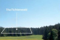 Recharge.green: Die Balance zwischen erneuerbarer Energienutzung und Natur finden – das Beispiel des „Energiehektars“